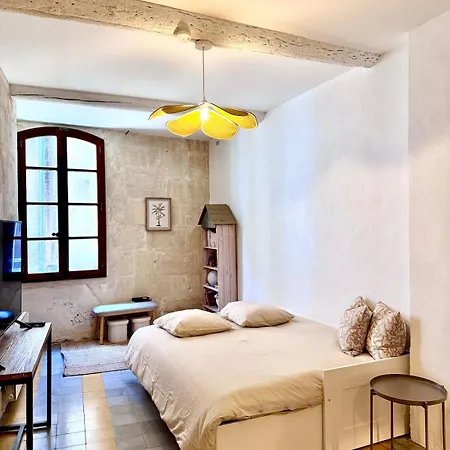 La Maison Benezet Arles Roquette